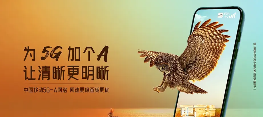 荔浦市荔浦市茶城乡 移动宽带
